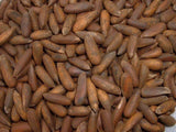 Pine Nuts - Jalgoza